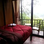 The Giant Chiangmai