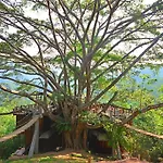 The Giant Chiangmai